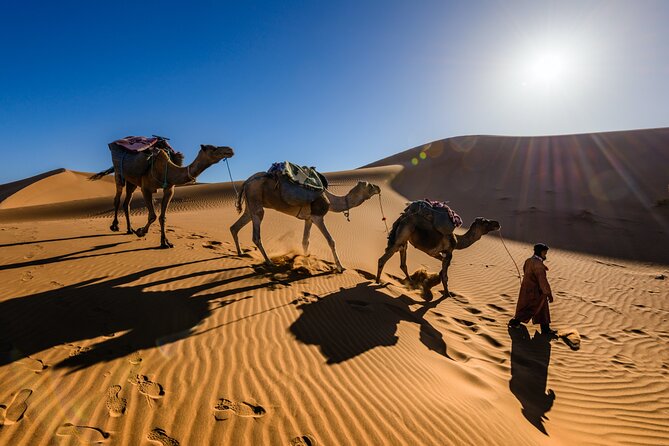Desert Safari Dubai - Accessibility Information