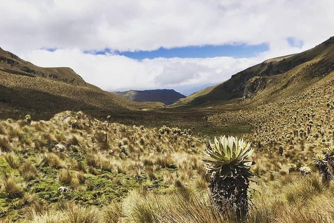Discover Frailejones in Los Nevados National Natural Park (2 Days) - Accommodations and Meals