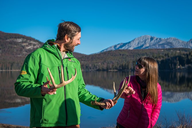 Discover Jasper and Its Wildlife - Tour Details and Logistics