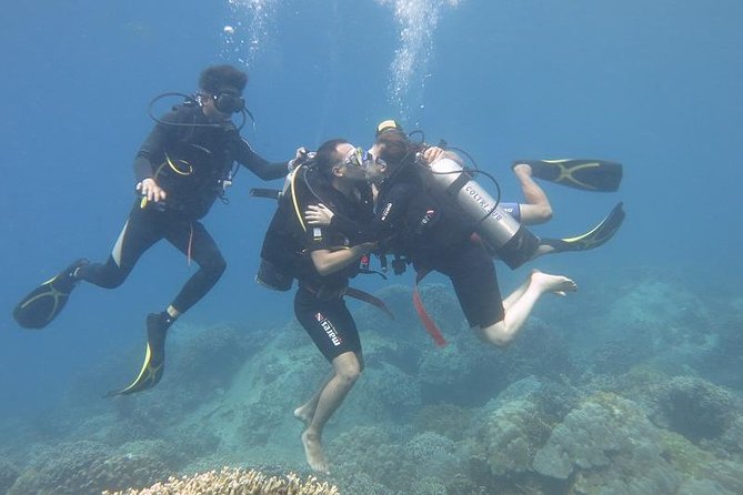 Discover Nha Trang Bay With Scuba Diving Tour - Inclusions of the Tour