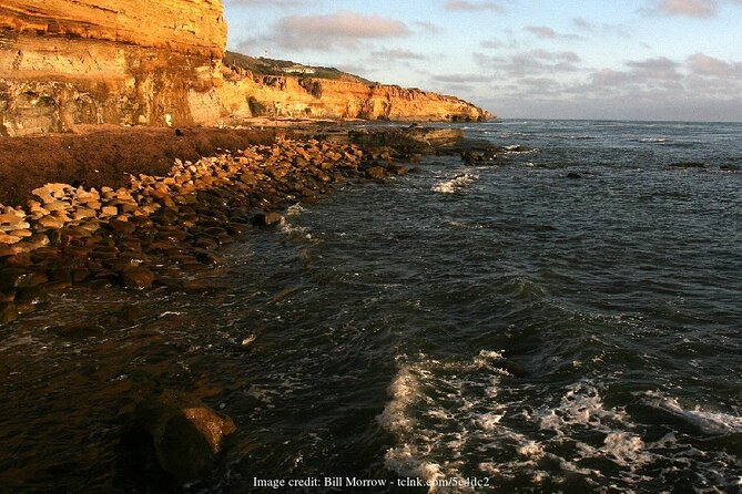 Discover San Diegos Beaches: Private Driving Tour - Inclusions and Exclusions