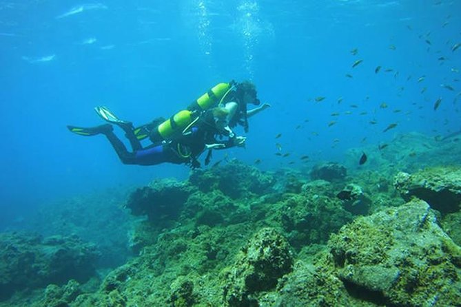 Discover Scuba Diving - Scuba Equipment and Transportation Provided