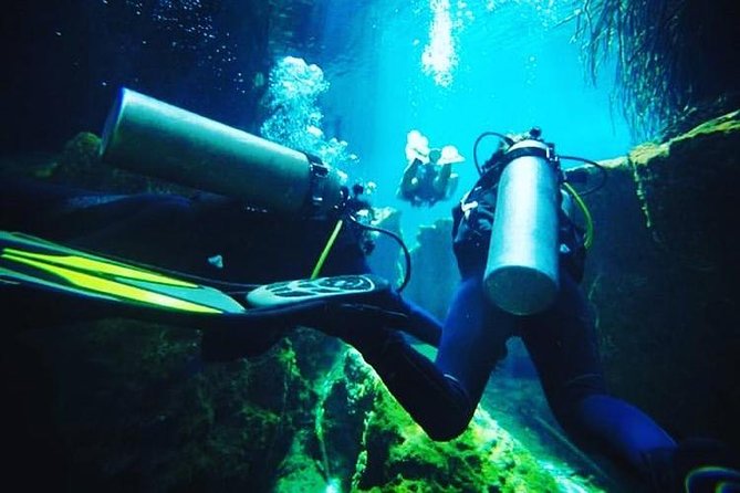 Discover Scuba Diving at Casa Cenote - Inclusions and Amenities