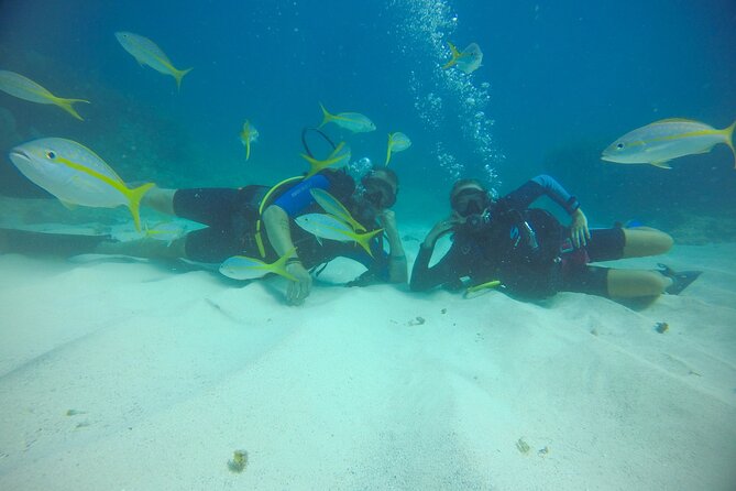 Discover Scuba Diving - DSD - Confirmation and Booking Process