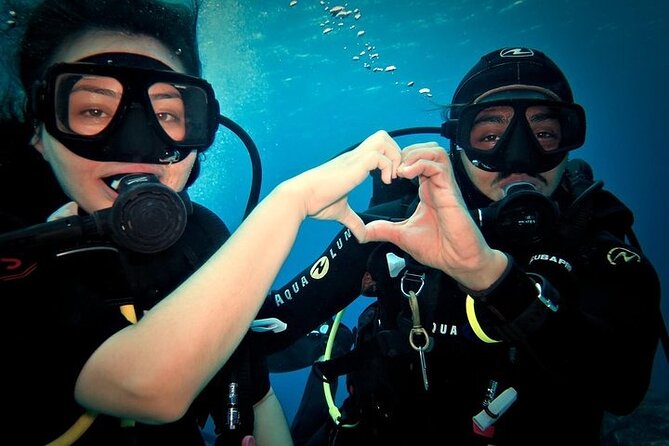 Discover Scuba Diving in Cozumel Paradise Reef - Meeting and Pickup Details