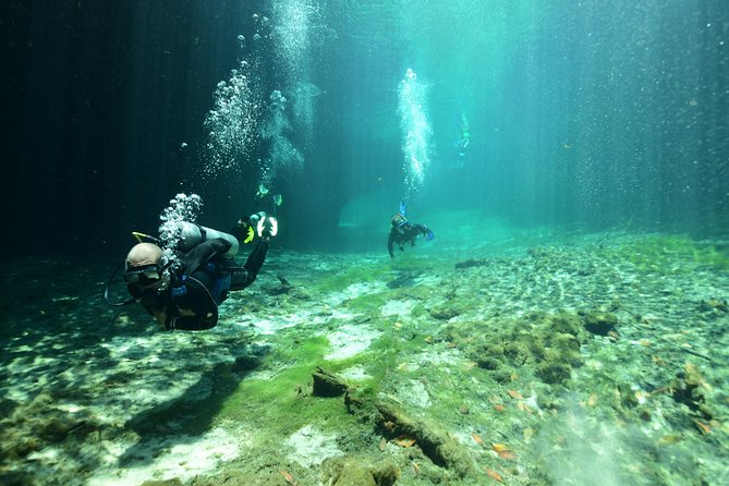 Discover Scuba Diving in Tulum - Pricing and Booking