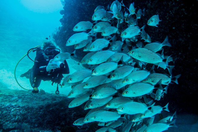 Discover Scuba Experience at Las Caletas, Puerto Vallarta - Safety and Health Precautions