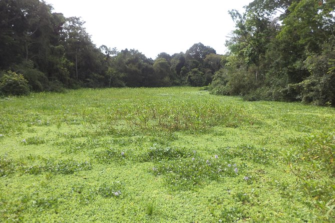 Discover the Amazon for 3 Days 2 Nights - Included in the Experience