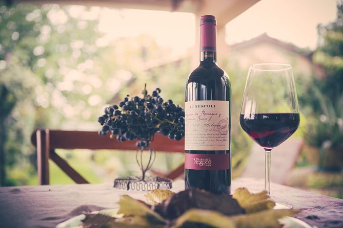 Discover the Wine Producers of Emilia Romagna - Highlights of the Private Wine Tour