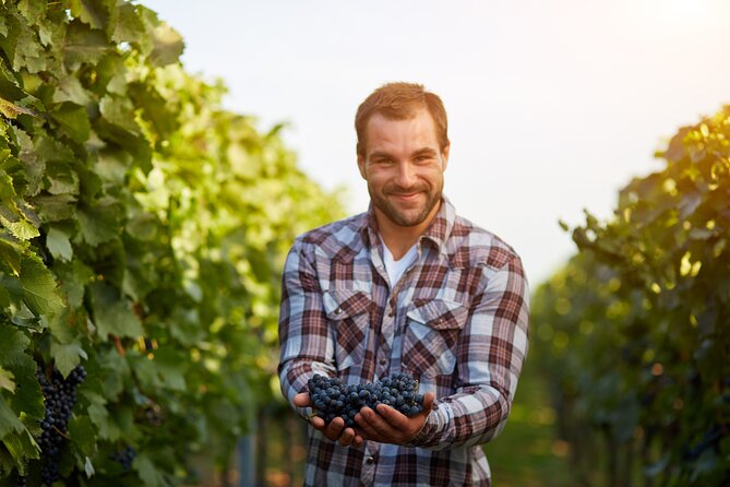 Discover the Winery and Taste Fine Wine in Extremadura - Wine Tasting Highlights