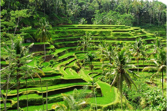 Discover Ubud: 2 Days Ubud Private Tour - Health and Safety Guidelines