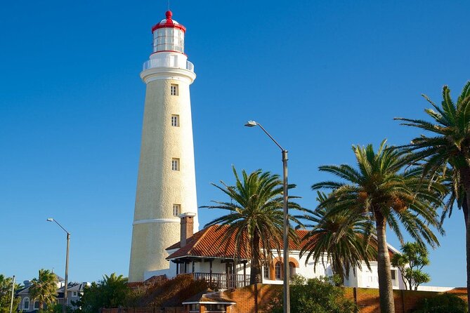 Discovering Punta Del Este: Half-Day City Tour - Accessibility and Participation