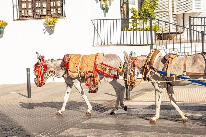 Discovering the Best of Mijas Private Guided Tour - Cultural and Historical Insights