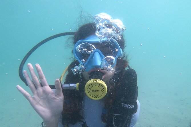 Discovery Scuba Diving in Dubai - Location and Meeting Point Details