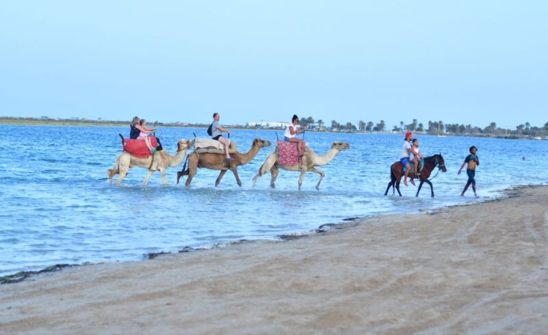 Djerba: Horse and Camel Combo Caravan Tour - Booking Information