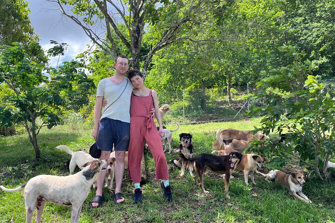 Dog Lovers Guided Tour of the Happy Tails Sanctuary - Sanctuary Facilities and Residents