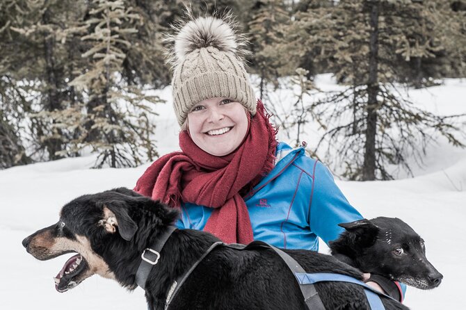 Dog Sledding - Subarctic Wilderness Tour - What to Expect on the Tour