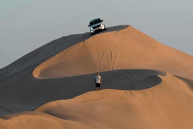 Doha Layover, Stopover,Transit (4hour Doha Private Desert Safari) - Camel Riding in the Dunes