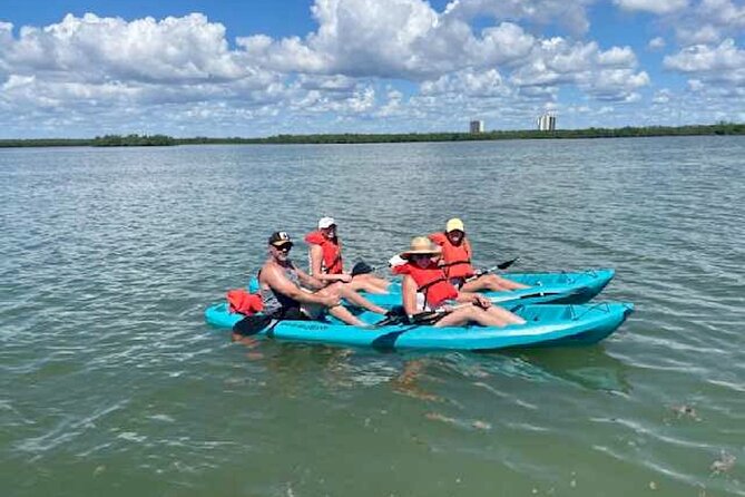 Dolphin and Manatee Kayak Tour of Daytona Beach - Experience and Expectations