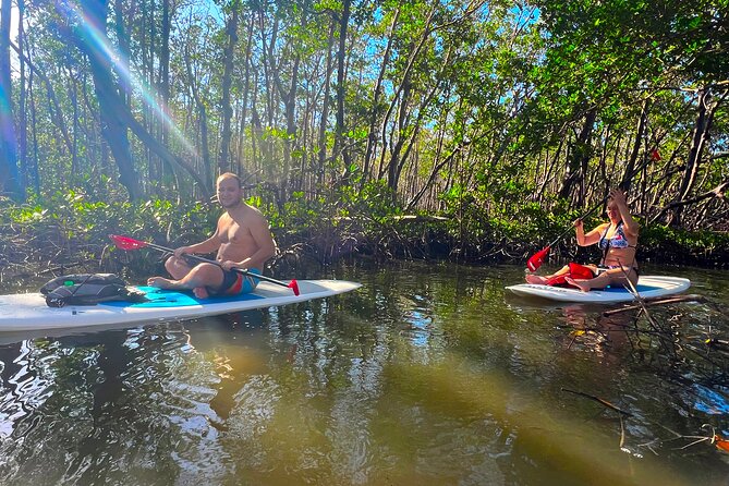 Dolphin and Manatee Paddle Board Guided Activity - Spotting Dolphins and Manatees