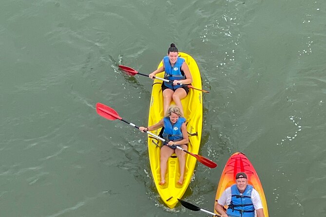 Dolphin Kayak Tour in Virginia Beach Must Know How to Swim - Kayak Experience and Scenery