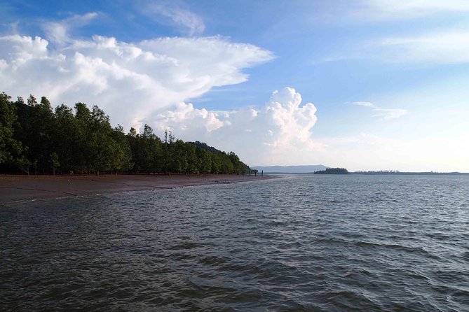 Dolphin Mangrove Cruise - Whats Included
