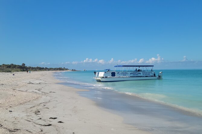 Dolphin /Shelling/Snorkeling Tours Private Charters - Meeting Point and Parking