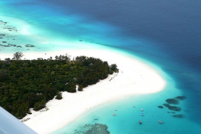 Dolphin Tour, Jozani Forest Tour, Kuza Cave Tour, Paje Beach,The Rock Restaurant - Snorkeling and Dolphin Encounter