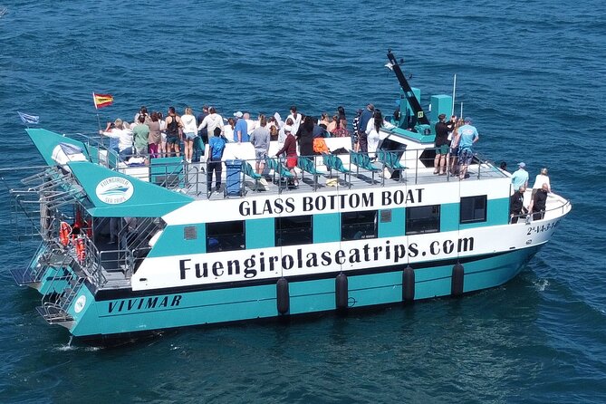 Dolphin Watching on a Catamaran in Fuengirola - Location and Meeting Point