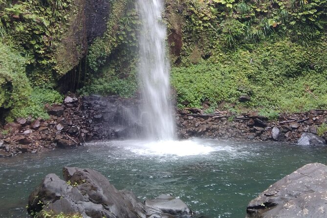 .Dominica Full Day Tour -6 Waterfalls in 1 Day and Rainforest - Meeting and Pickup