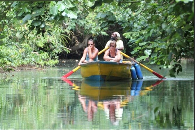 Dominica Indian River Discovery & Beach Stop. - Inclusions