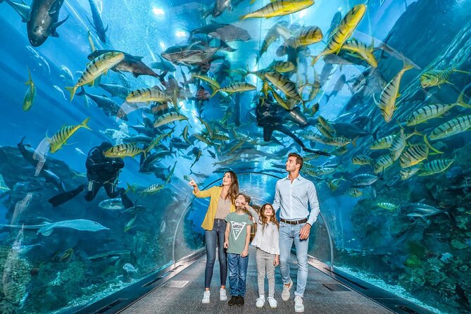 Dubai Aquarium and Underwater Zoo - Ticket Pricing and Inclusions