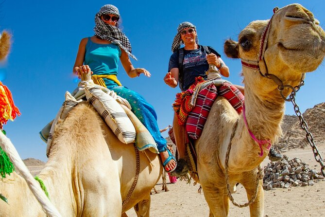 Dubai Desert Safari Tour With BBQ Dinner - Inclusions of the Experience