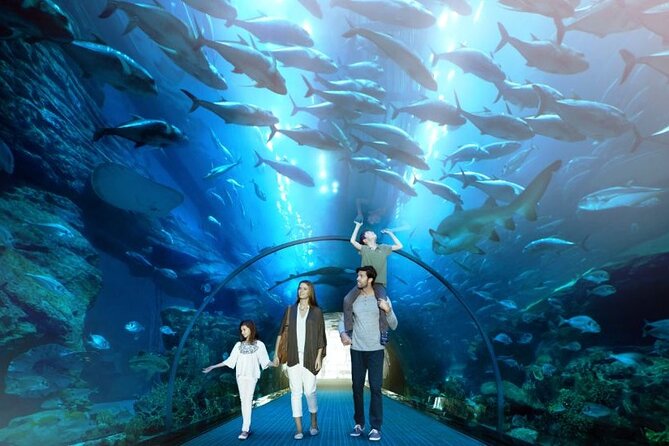 Dubai Mall Aquarium and Underwater Zoo Ticket - Visitor Reviews and Ratings