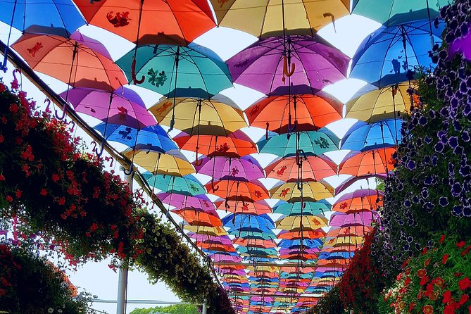 Dubai Miracle Garden Ticket With Transfer - Inclusions of the Tour Package
