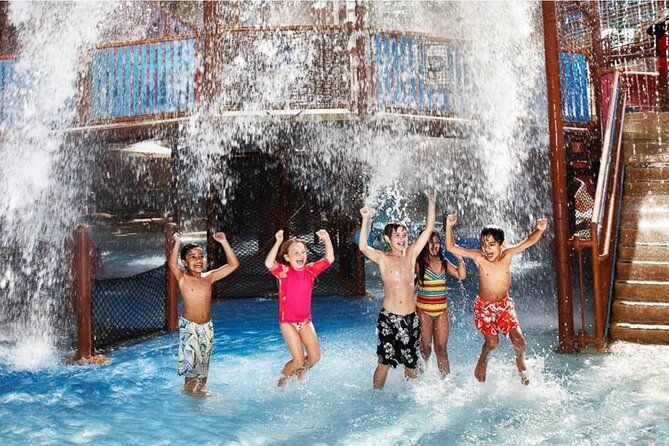 Dubai Wild Wadi Water Park - Thrilling Rides and Slides