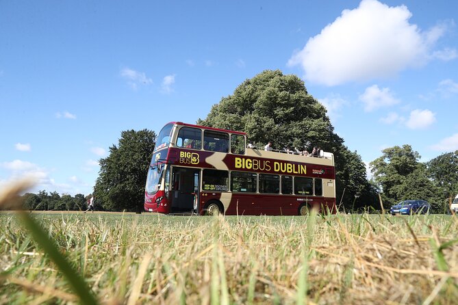 Dublin Shore Excursion Tour Review - Pricing and Booking Details