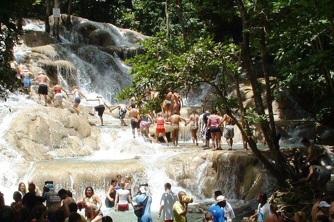 Dunns River Falls Private Tour ** {Entry Tickets Included }** - Pickup Information