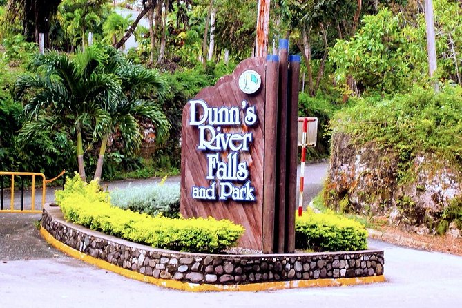 Dunns River Falls Tour From Lucea - Accessibility and Requirements