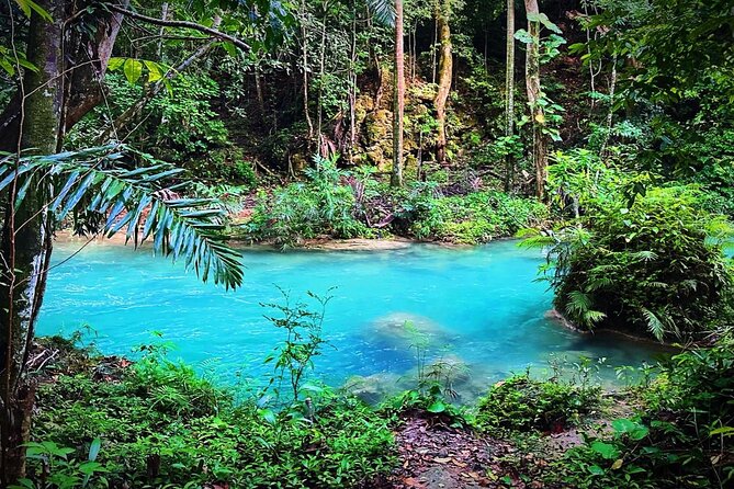 Dunns River Tour - Exploring the Dunns River