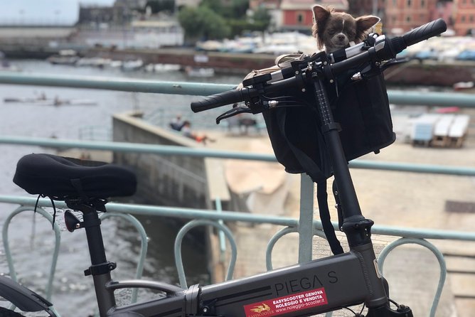 E-Bike, Scooter and Scooter Tour - Reviews and Ratings