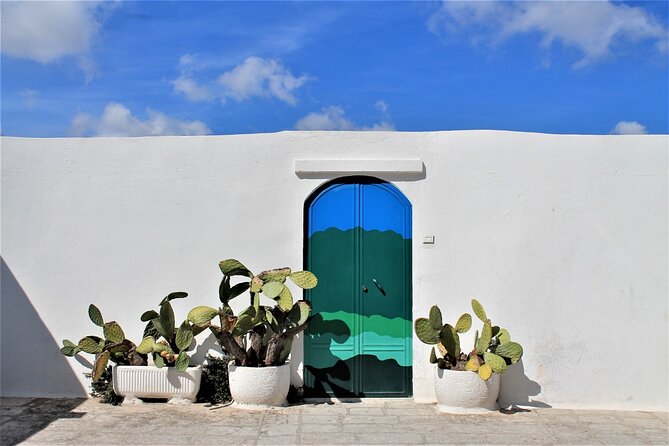 E-Bike Tour in the Plain of the Secular Olive Trees of Ostuni - Accessibility and Logistics