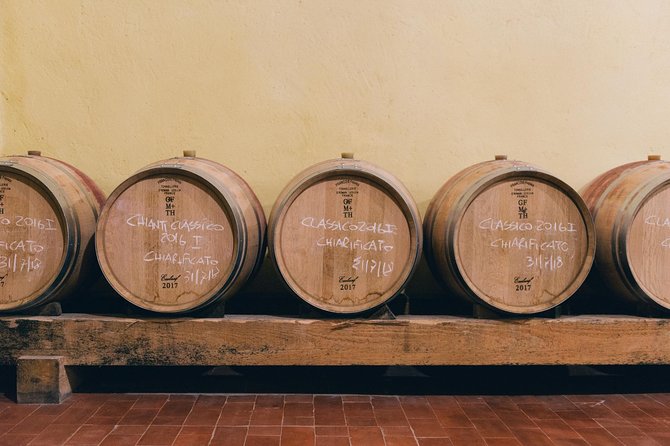 E-Bike Tour in Tuscany With Wine Tasting - Guided Tour With Knowledgeable Leaders