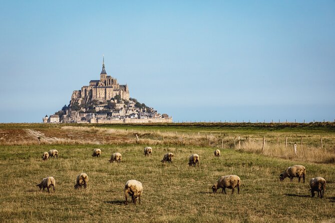 E-Bike Tour to Mont Saint Michel // Private Guided Tour - Inclusions and Amenities