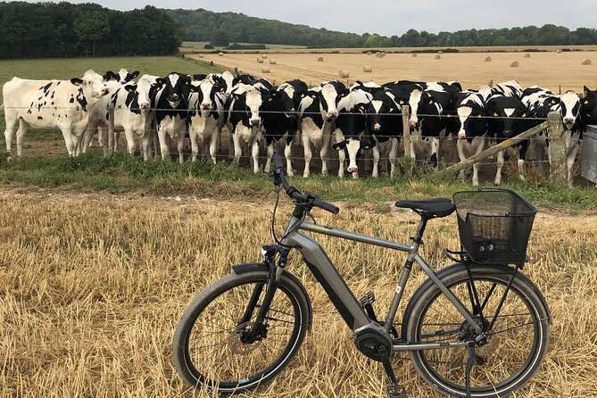E.Bike Tours Around Heidelberg - Customer Support and Resources
