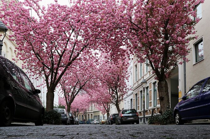 E-Scavenger Hunt Bonn: Explore the City at Your Own Pace - Gamified Exploration of Bonn
