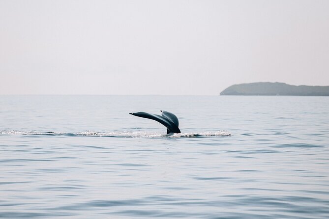 Early Sail With the Whales From Maalaea Harbor - Location and Surrounding Area