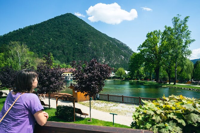 Easy Hiking Alpine Panorama Paradise Private Tour From Vienna - Highlights of the Tour
