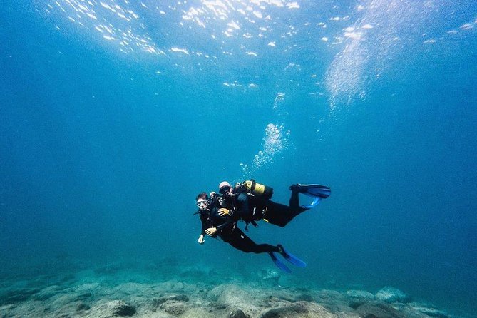 Eco Adapted Diving in Tenerife - Discovering Tenerifes Marine Wonders
