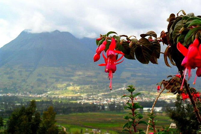 Ecuador Gateway 5 Days Tour - Accommodation Highlights